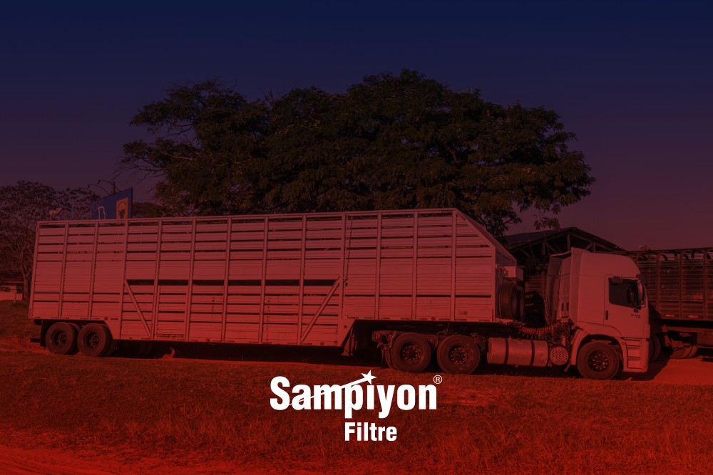 Şampiyon Blog